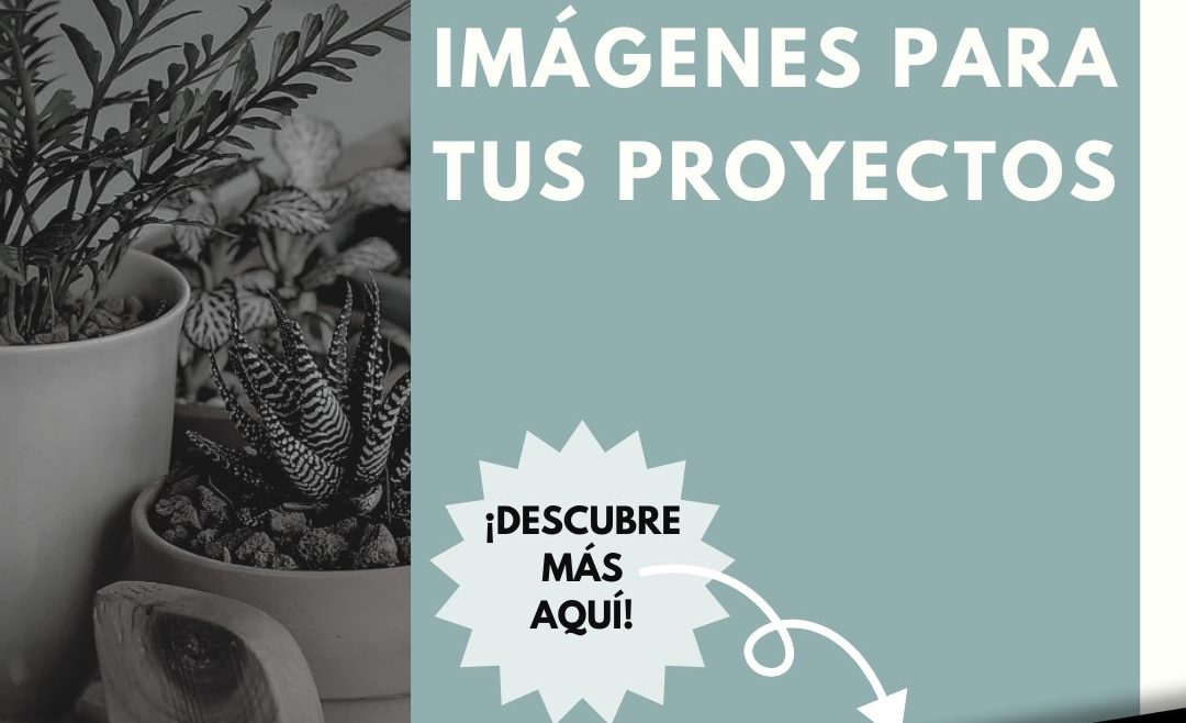 Bancos de imágenes gratuitos y de pago