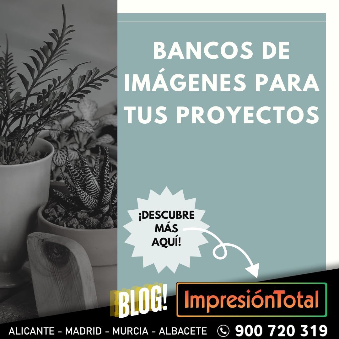 Bancos de imágenes gratuitos y de pago